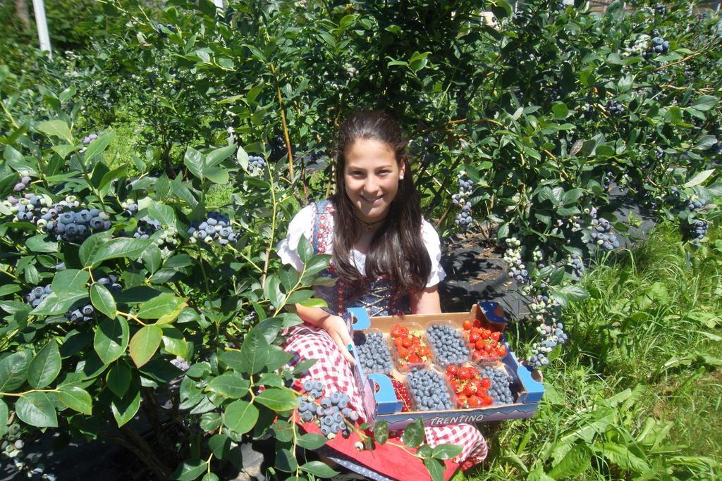 Borzago Agriturismo Maso Grisun מראה חיצוני תמונה