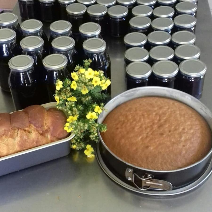 Borzago Agriturismo Maso Grisun מראה חיצוני תמונה